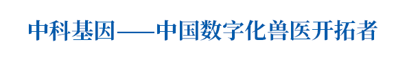 5d68c843904f3.gif 1.gif