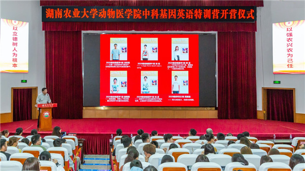 609bab780da87.jpg 121.jpg